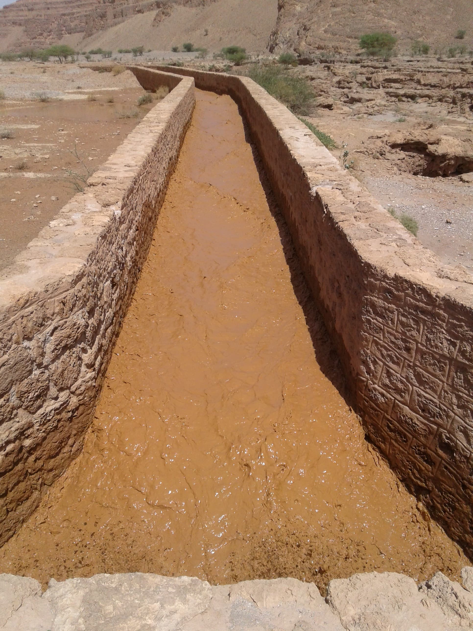 Lines of Passage - Featured Image